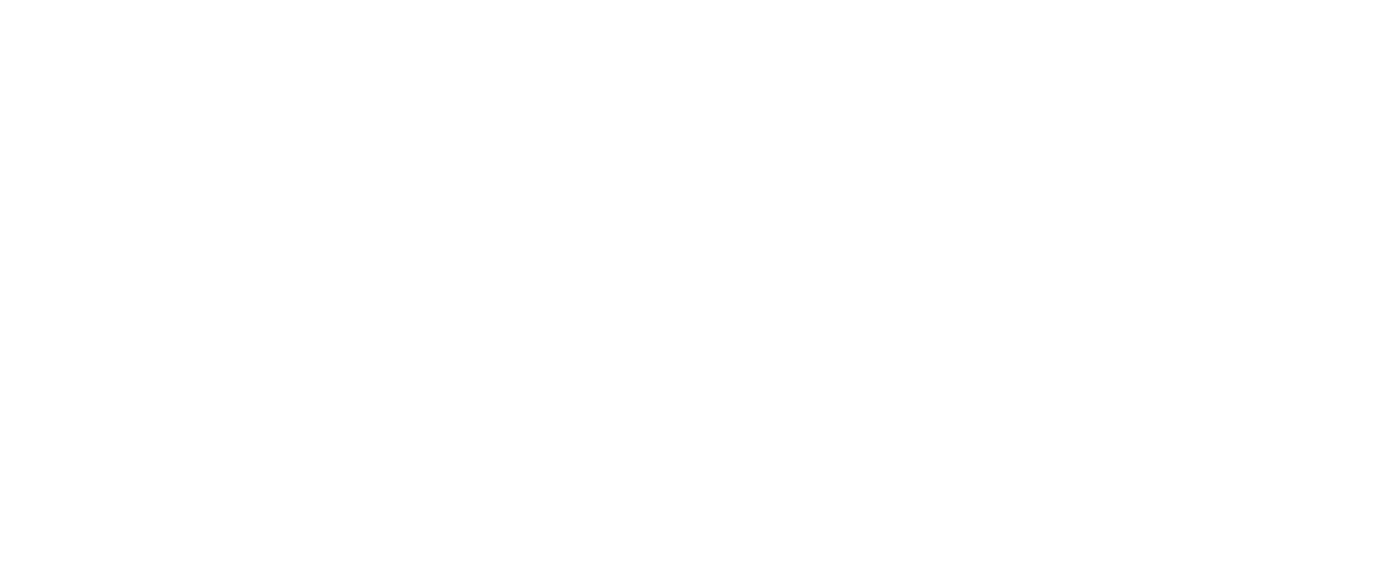 CSW-Logo-White