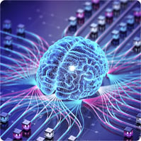 brain
