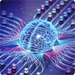 brain