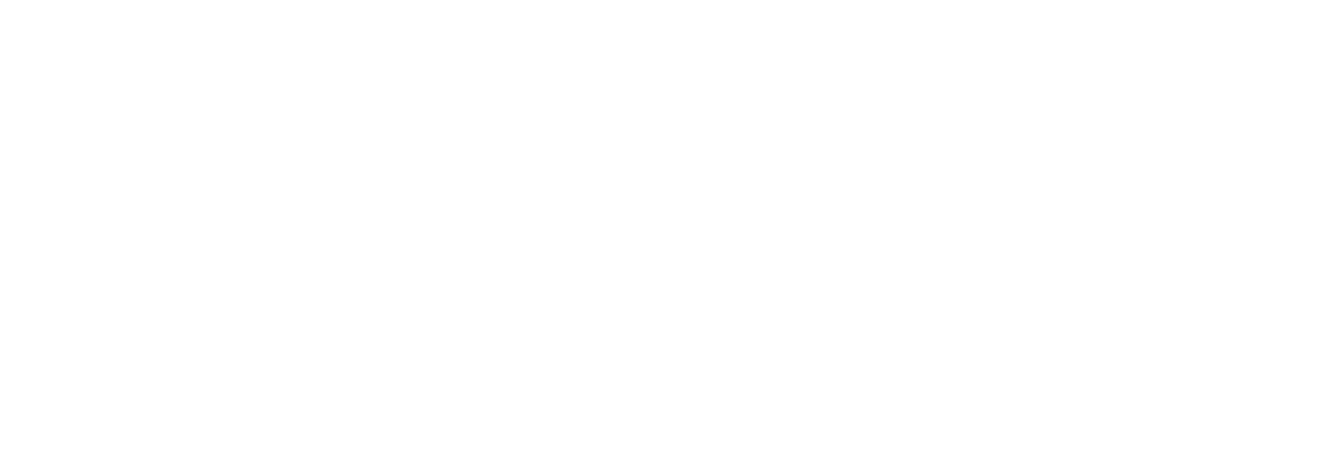 CSW-Logo-White (FRAMED)